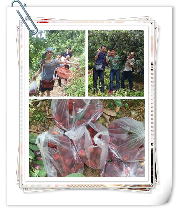 广州番茄视频黄色APP下载链接设计公司周末活动。.jpg